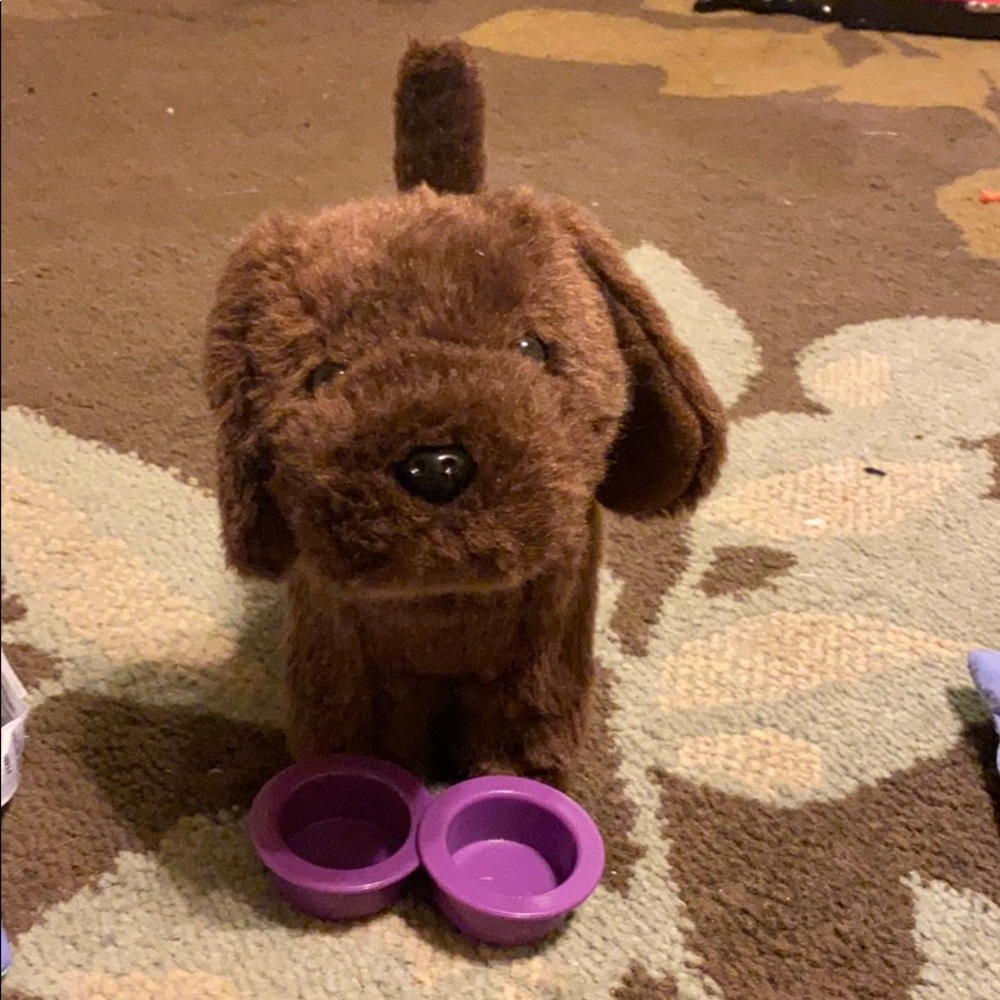 American Girl Dog Chocolate Chip